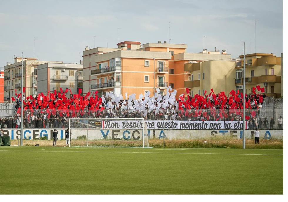 IDEALE BARI — TRIGGIANO &mdash; immagine 3